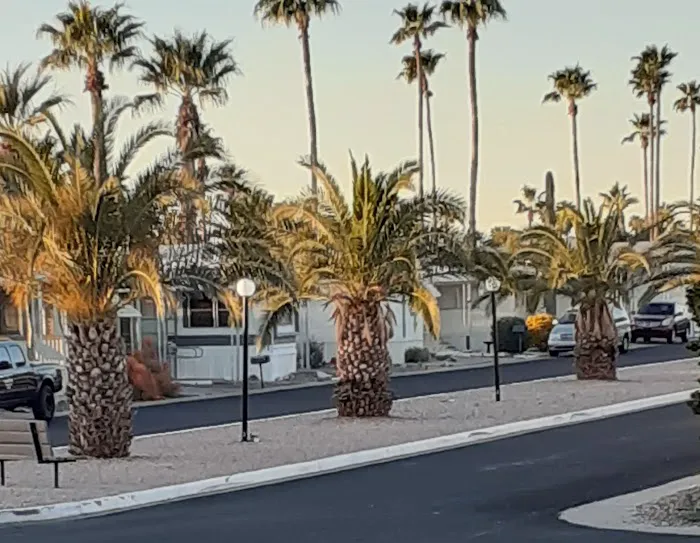 Cielo Grande Mobile Home Park Picture 3