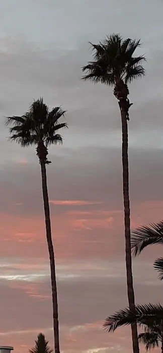 Cielo Grande Mobile Home Park Picture 8