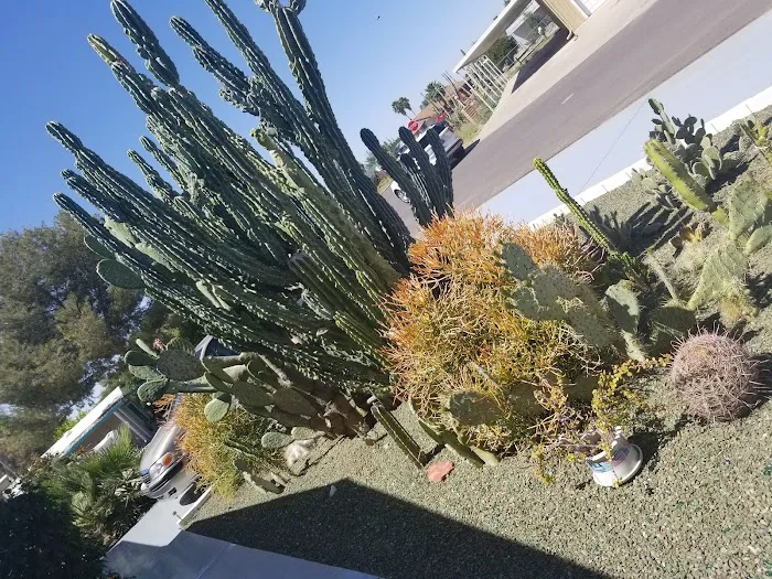 The Resort RV Park Picture 9