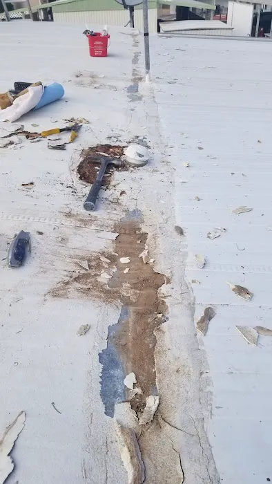 Patio Gardens Mobile Home Park Picture 5