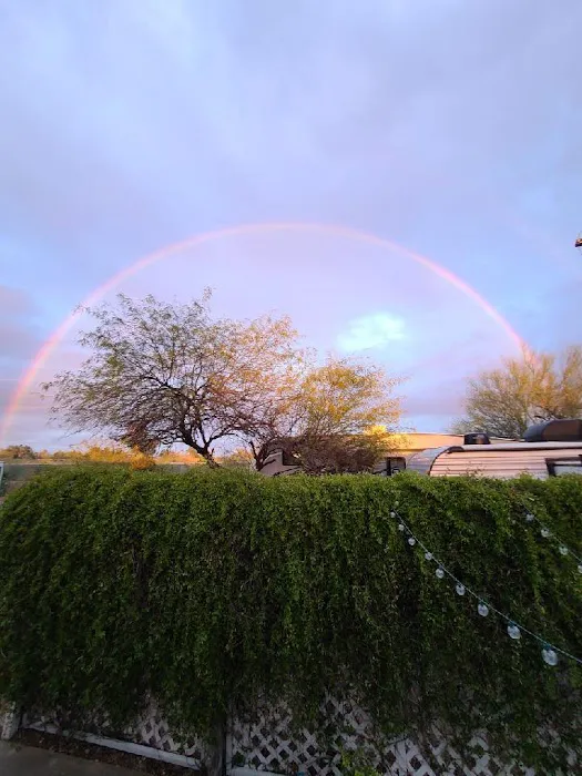 Arizona Maverick RV Park Picture 8