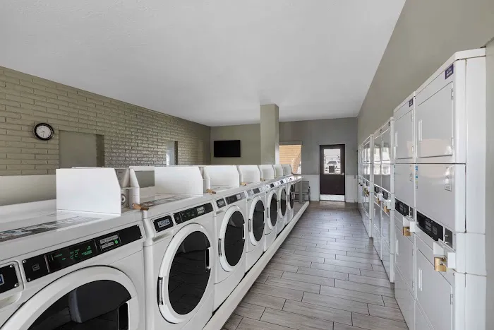 Leaf Verde Picture 7