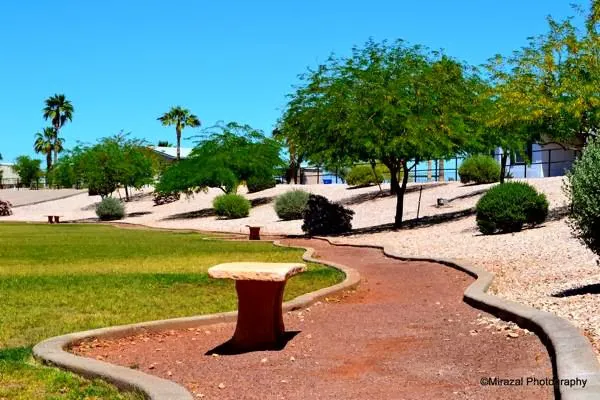 Buena Vista Picture 5