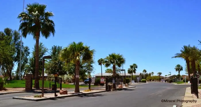 Buena Vista Picture 10