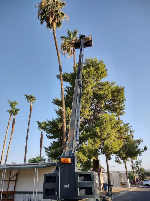 BUCKEYE ESTATES Picture 7