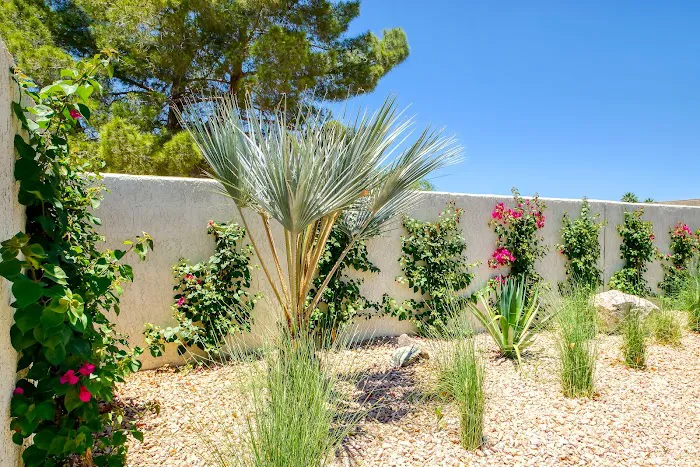 Estrella Valley Picture 7