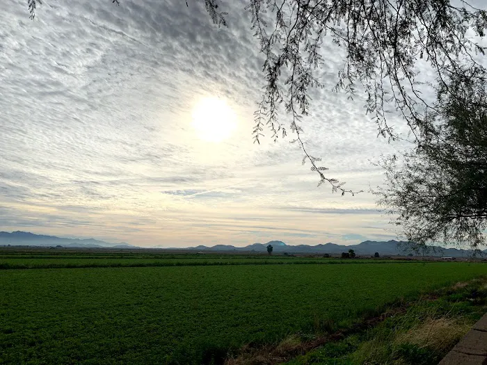 Estrella Valley Picture 10