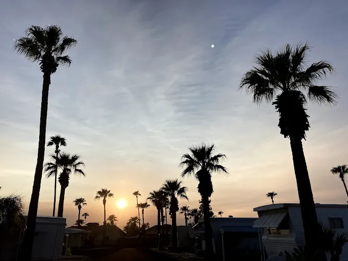 Valley Palms Mobile Home Park Picture 2