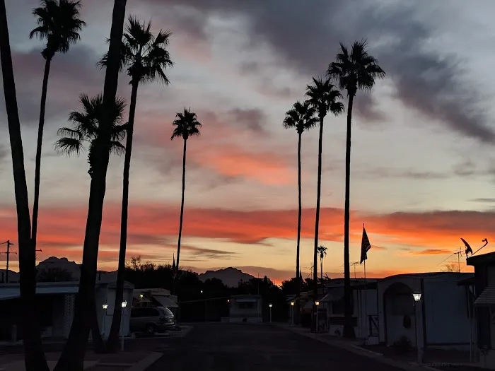 Valley Palms Mobile Home Park Picture 4