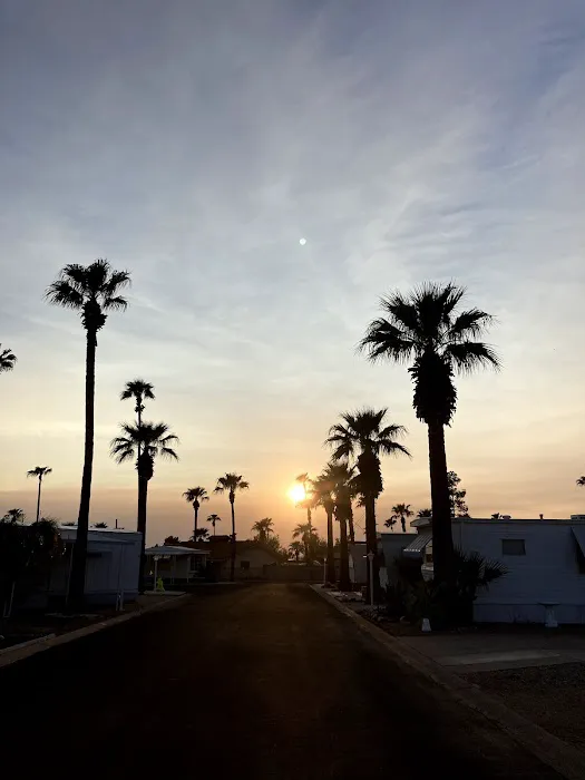 Valley Palms Mobile Home Park Picture 7