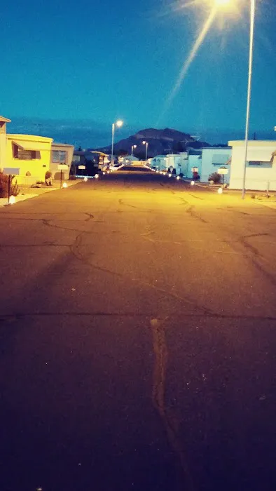 Dana's Trailer Ranch 55+ Picture 3