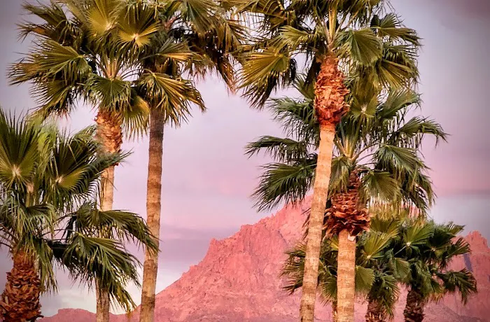 Superstition Buttes MHP Picture 10