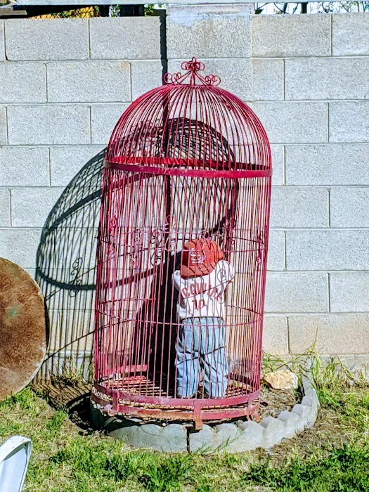 Desert Trails mobile home park Picture 10