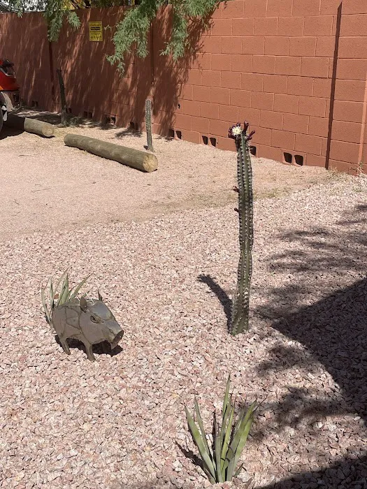 Tumbleweed RV Apache Junction Picture 5