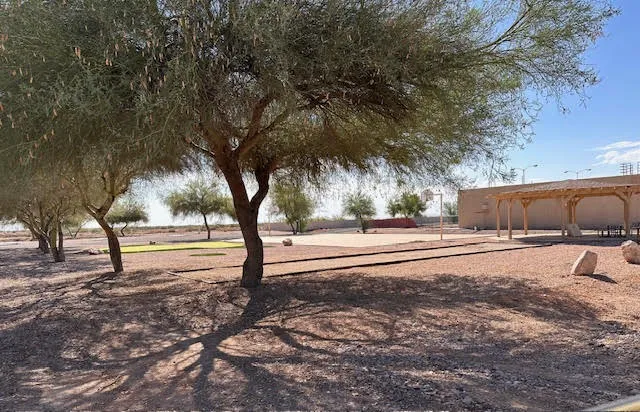 Saddle Mountain RV Park Picture 9