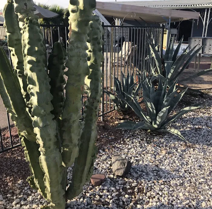 Lamplighter MH & RV Park Picture 9