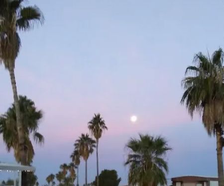 Golden Acres Mobile Manor