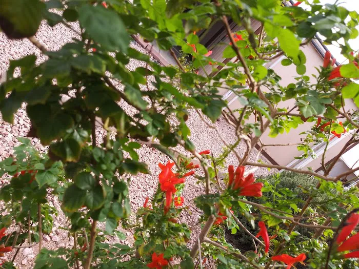 Pueblo Manor Picture 6