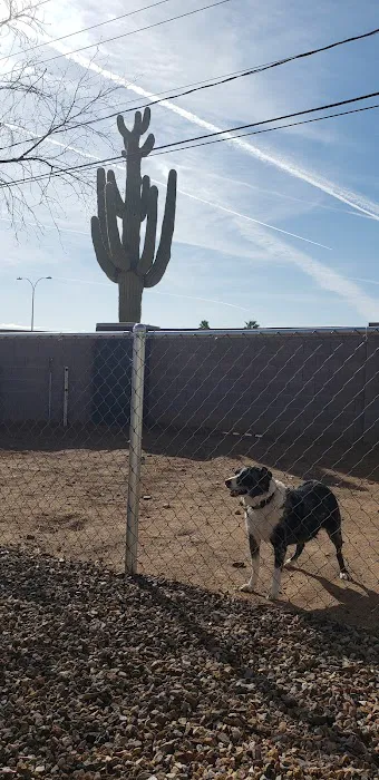 Buddy's RV Park Picture 2