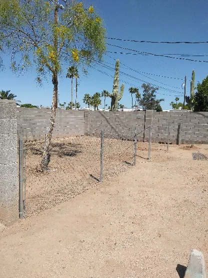 Buddy's RV Park Picture 4