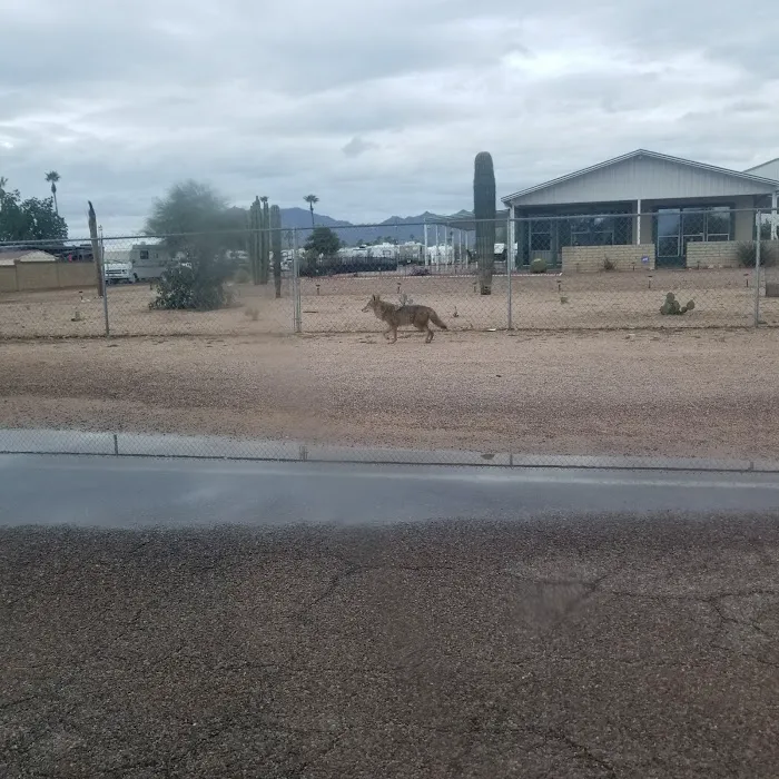 Sunset Mesa Mobile Home and RV Park Picture 3