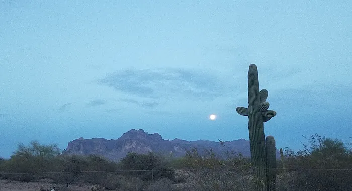 Arizona Sleets Mobil Home Park Picture 2