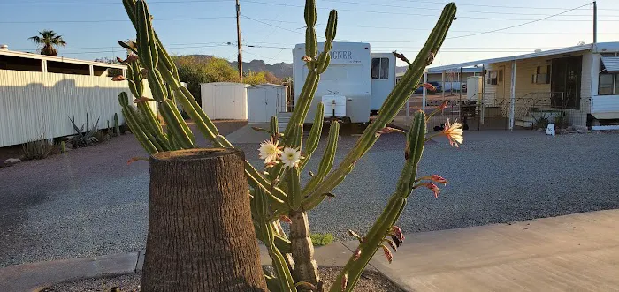 Mountain View Mobile Home Ranch Picture 1