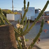 Mountain View Mobile Home Ranch ico