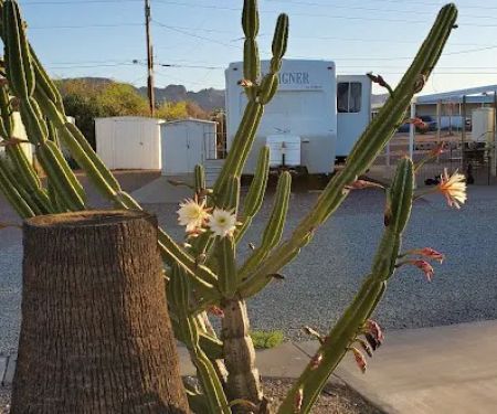 Mountain View Mobile Home Ranch