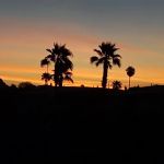 Fifth Avenue Estates