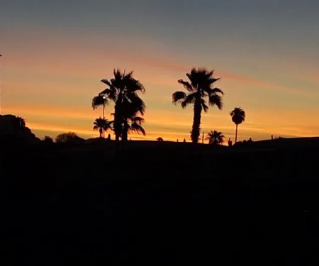 Fifth Avenue Estates