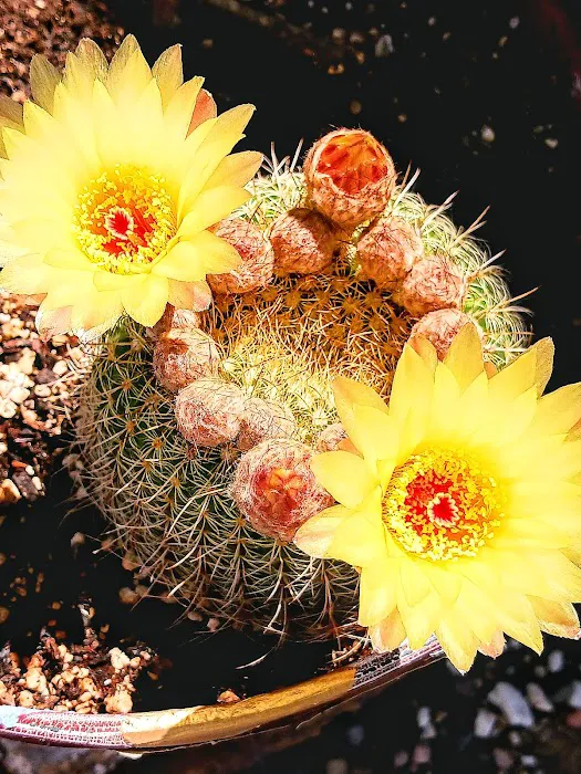 Pleasant Acres RV Park Picture 3