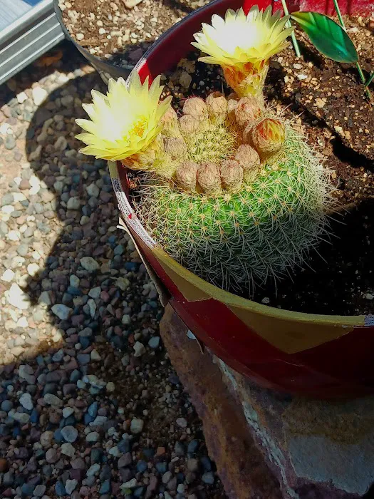 Pleasant Acres RV Park Picture 10