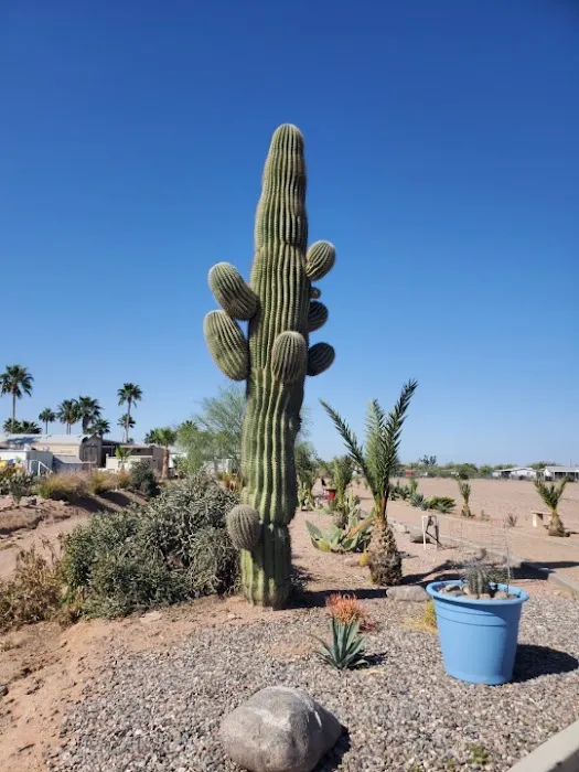 Carefree Manor RV Resort Picture 1