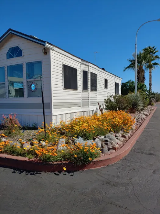 Carefree Manor RV Resort Picture 5