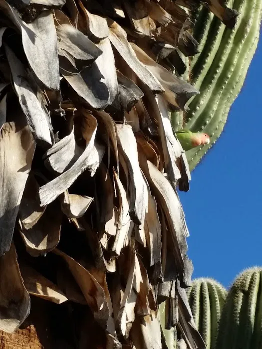 Bonita Vista Resort Picture 10