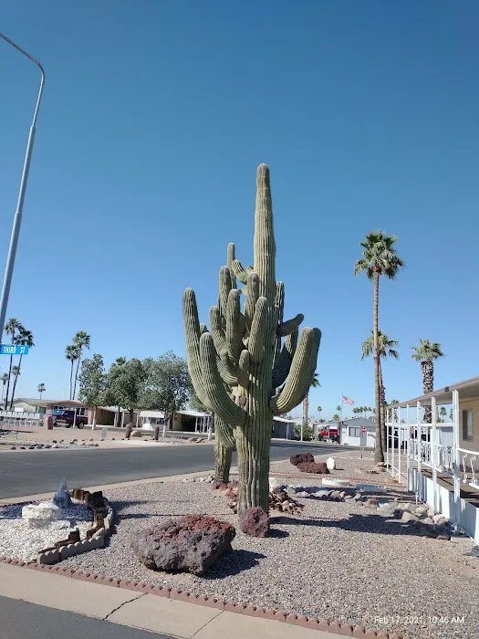 Sierra Del Saguaro Picture 3