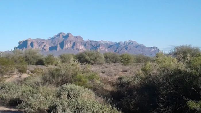 Boardwalk Estates Picture 8