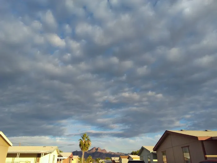 Windsong Mobile Home & RV Park Picture 3