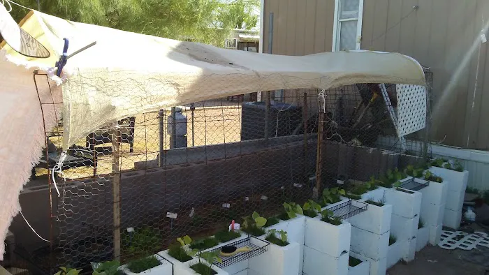 Acacia Villa Mobile Home Park Picture 3