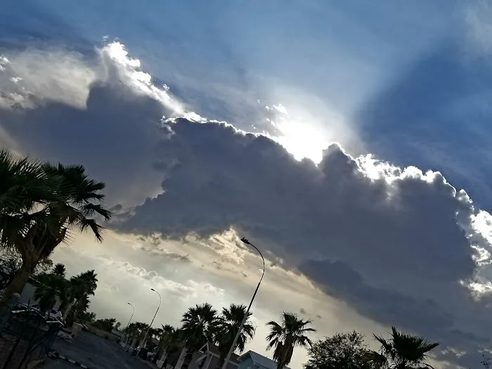 Acacia Villa Mobile Home Park Picture 5