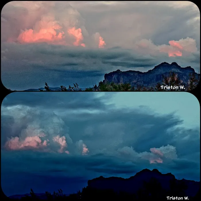 Acacia Villa Mobile Home Park Picture 6