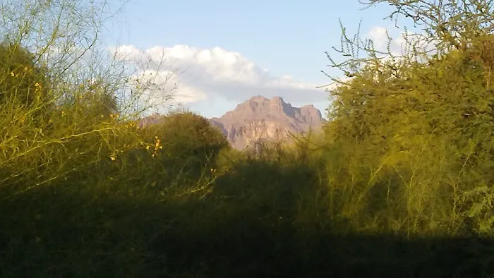 Acacia Villa Mobile Home Park Picture 7