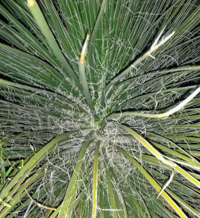 La Siesta Park Picture 7