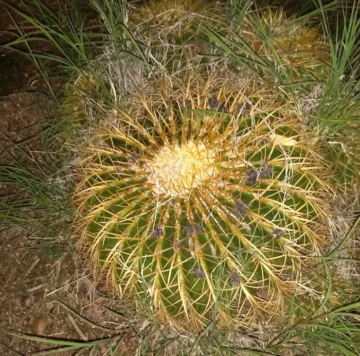 La Siesta Park Picture 6