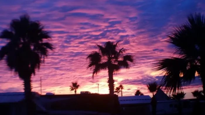 La Siesta Park Picture 10