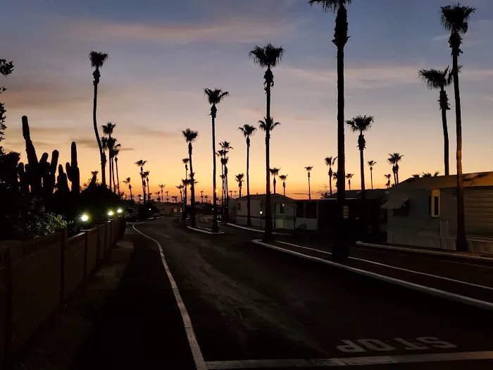 Lost Dutchman RV Resort Picture 4