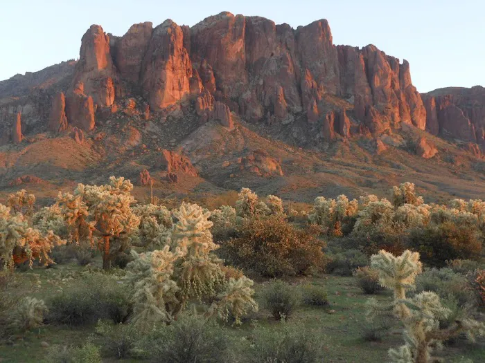 Lost Dutchman RV Resort Picture 6