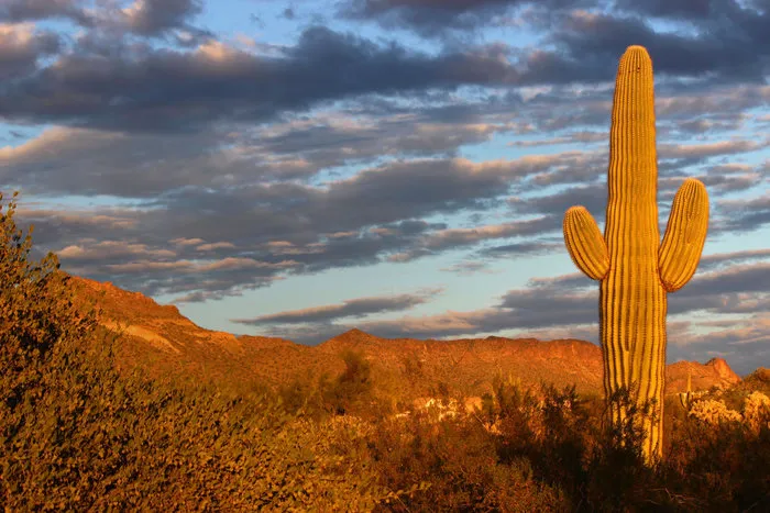 Roadhaven Golf & Tennis Resort Picture 6