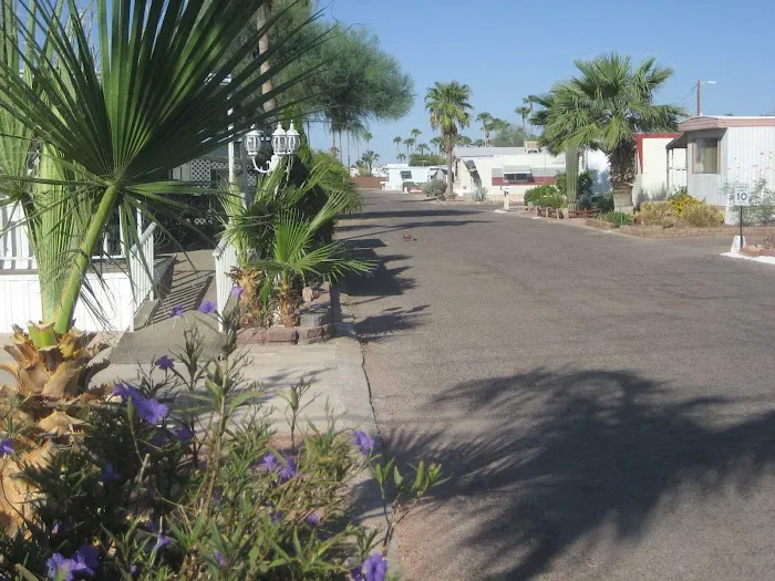 Desert Sky Picture 8